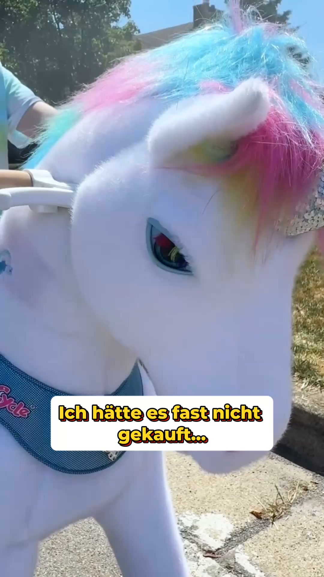 Ein Pony. Alle wollen reiten.