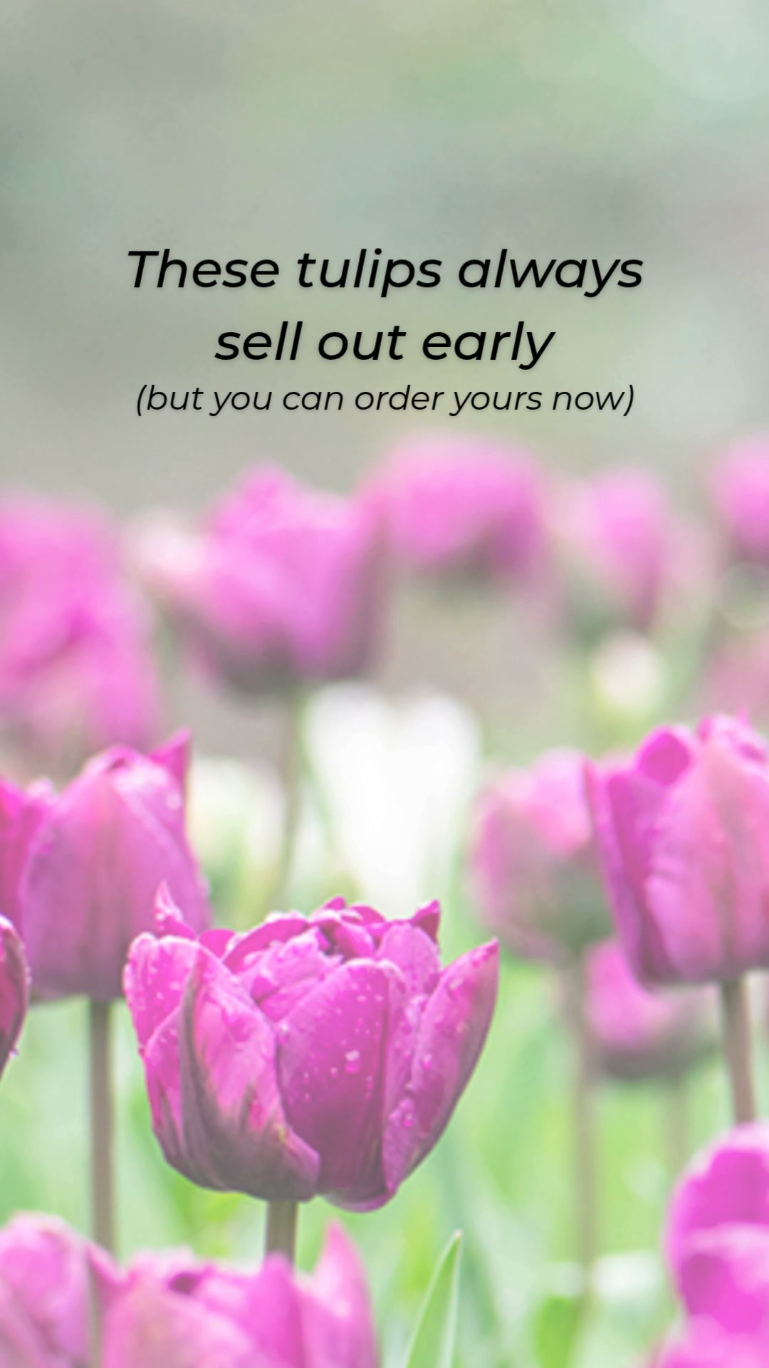 Sold out fast last year. Order now.