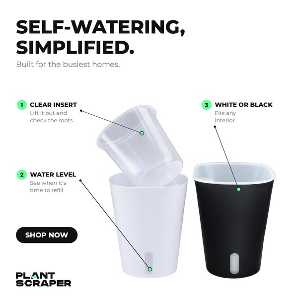 Self-watering, simplified