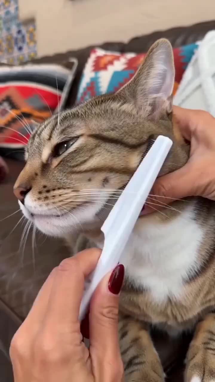 Pet Detangling Comb