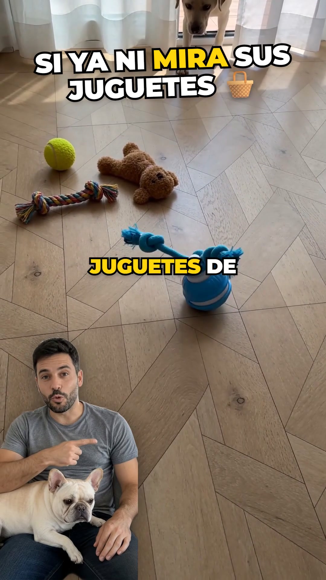2x1 + envío gratis a toda España