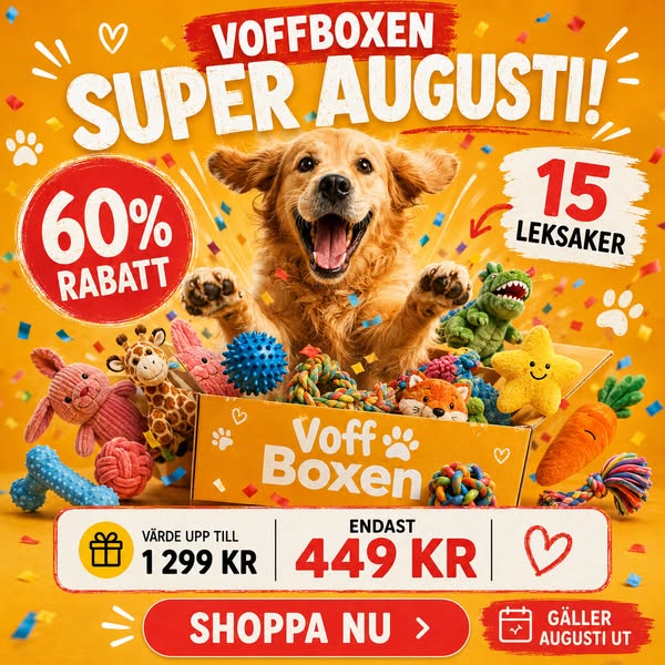 15 hundleksaker för endast 449 kr!