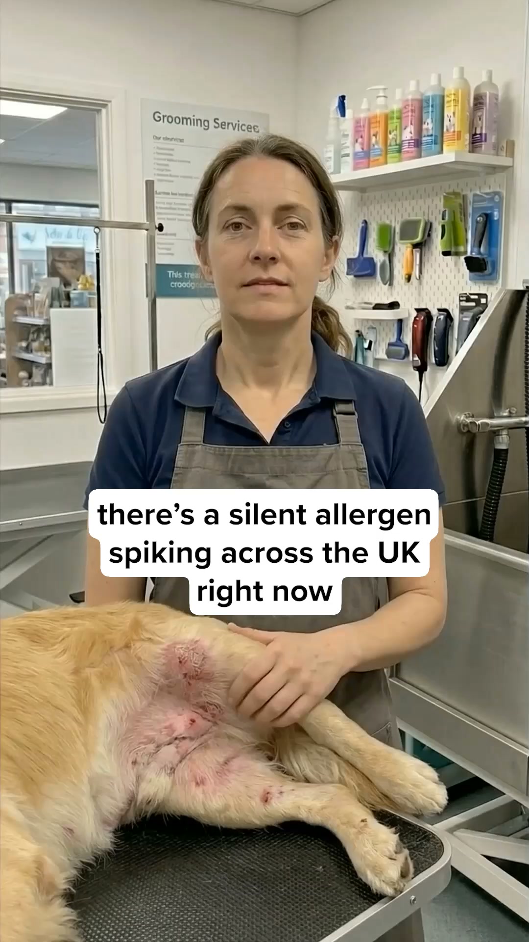 Vets Love It. Dogs Love It. Owners Trust It.