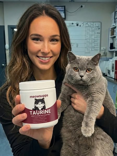 I Tested 11 Cat Taurine Supplements In A Lab. 10 Were Contaminated. One Almost Killed My Colleague's Cat.