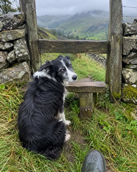 Meg, the stile and our 90-day diary