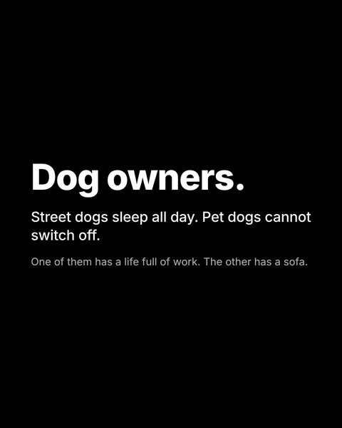 Discover your breed
