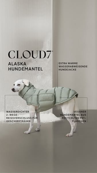 Wetterfest für jeden Hund