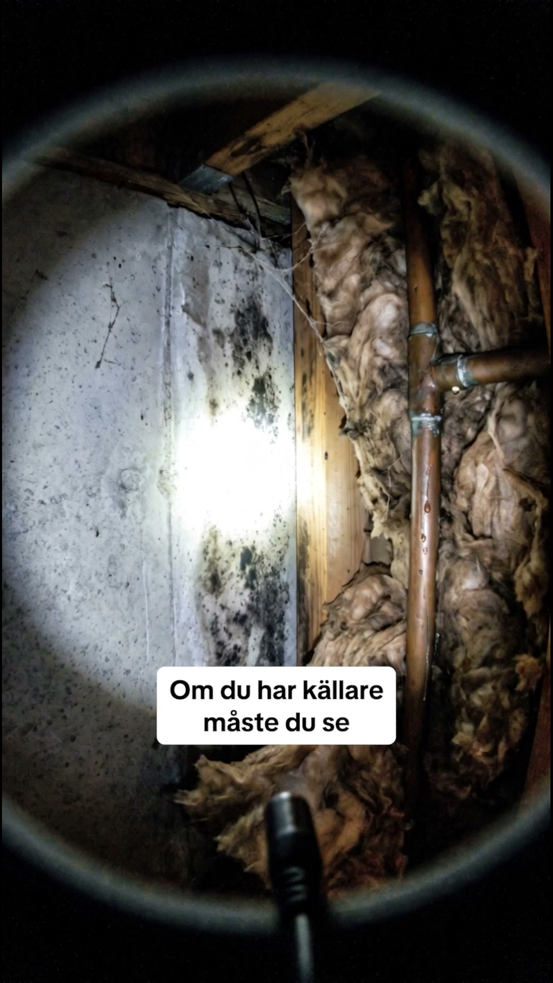 Testa helt riskfritt i 30 dagar
