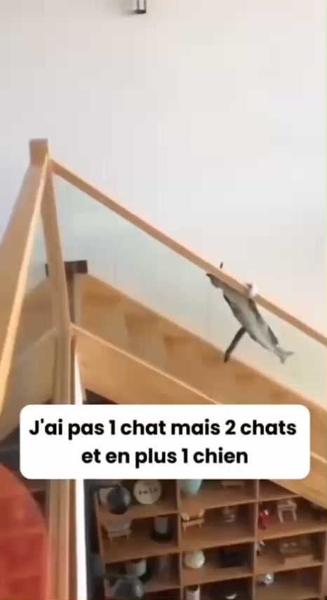 Plus besoin d’aspirateur ou de rouleaux !