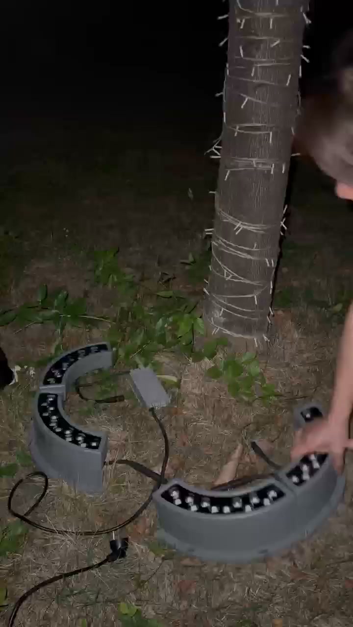 Let Your Trees Own the Night