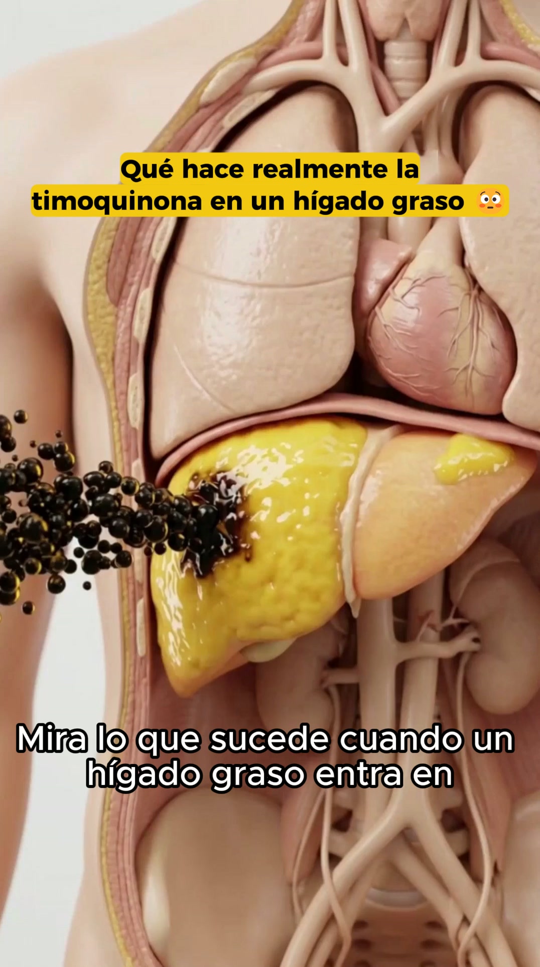 Elaborado con las mejores semillas negras de Etiopía