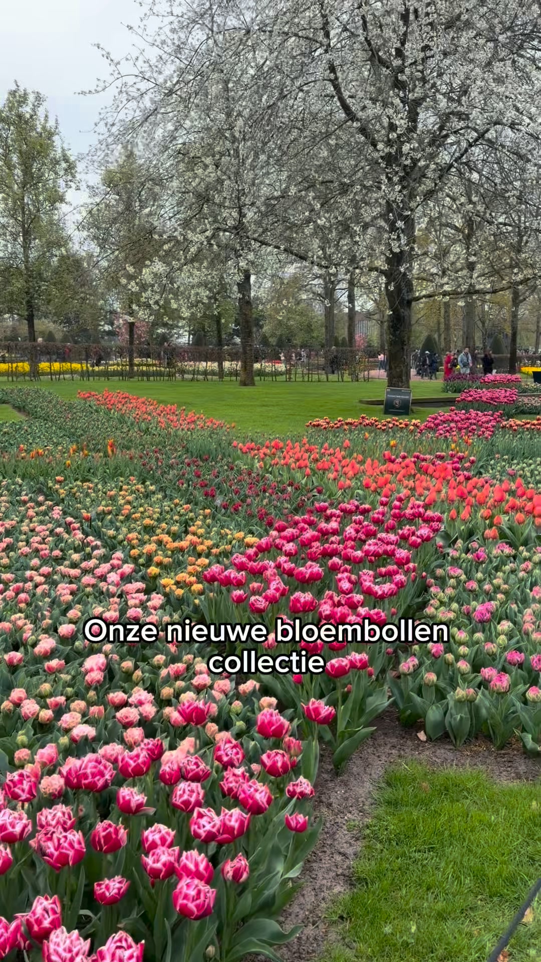 Kies jouw favorieten!