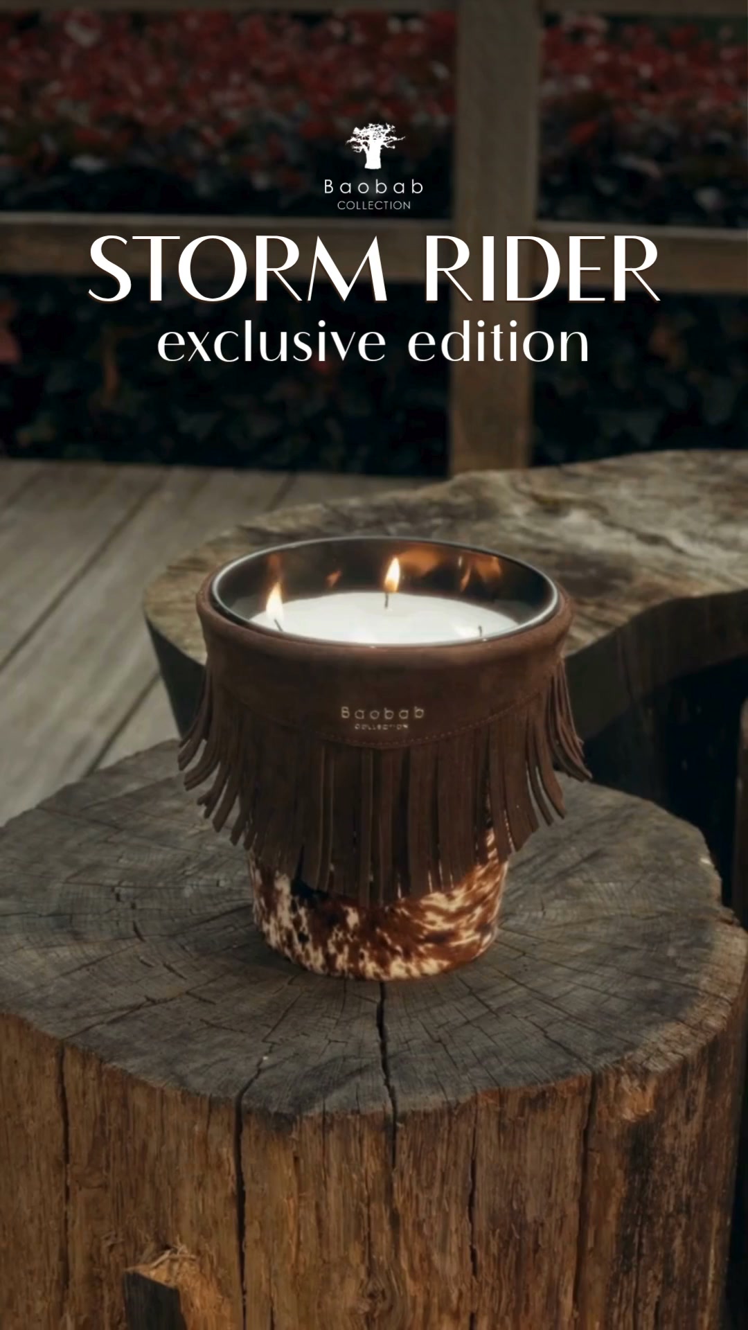 Ontdek onze limited edition