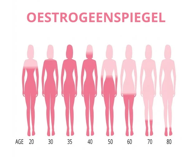 Oestrogeen daalt. En je haar?