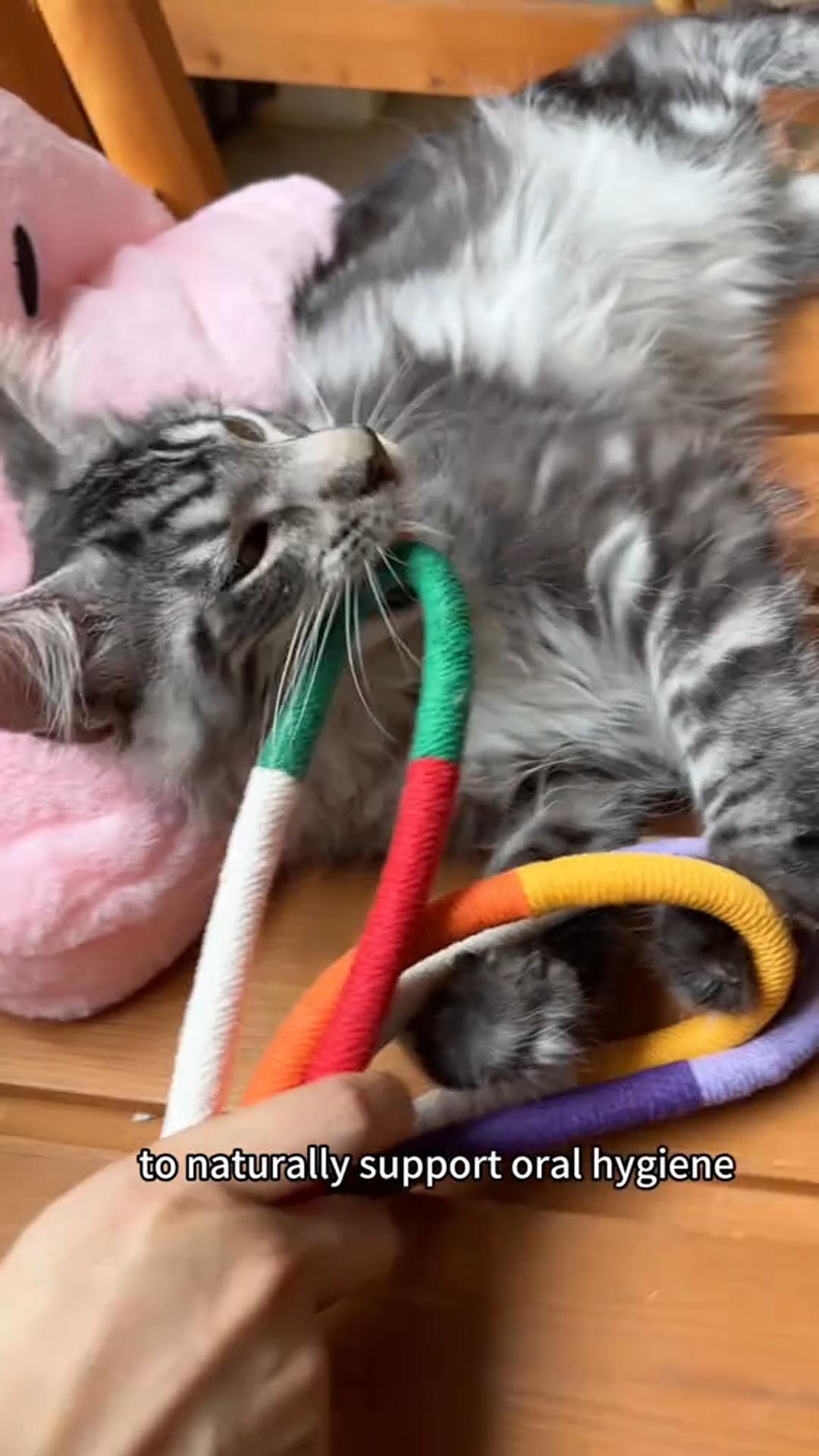 Quiet fun for your cat