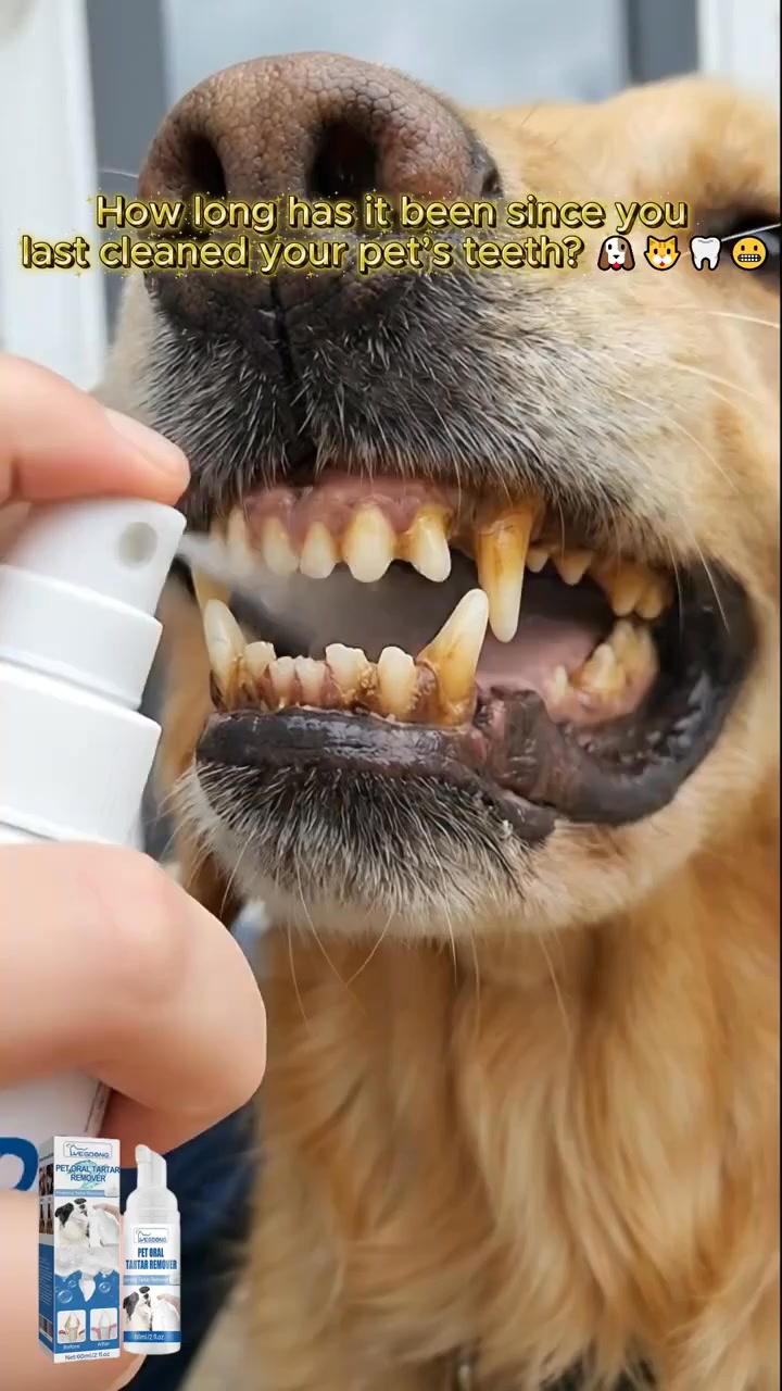 Tartar Removal Foam for Pets — Fresh Breath, Healthy Teeth, No Brushing Required!