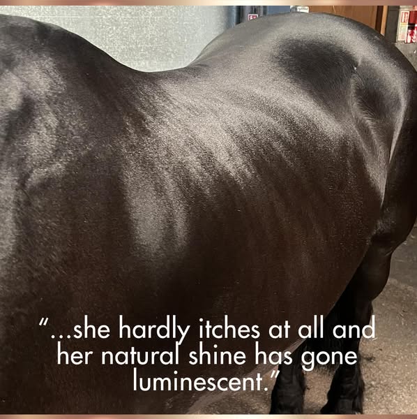 SKIN TONIC - Used by Vets