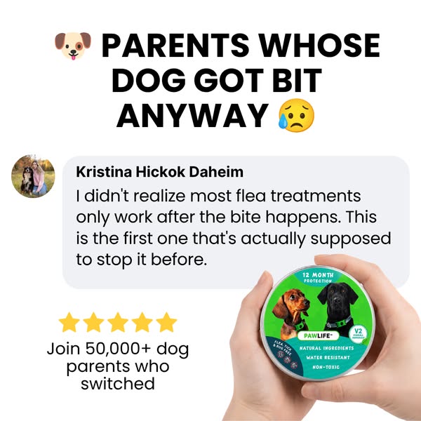 Provide a flea-free life for your pet