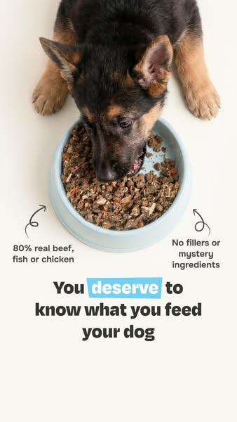 Done with ultra-processed food? So is your dog.