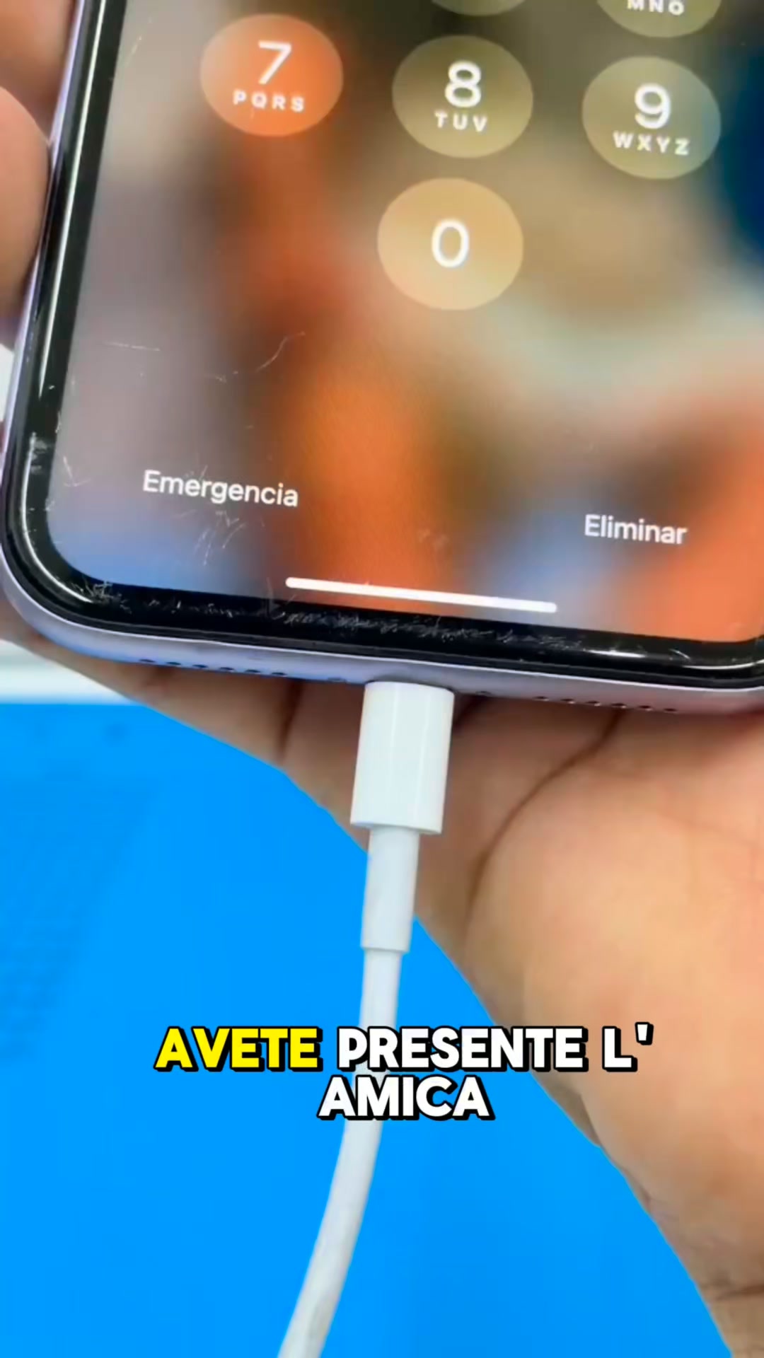 Spedizione gratuita