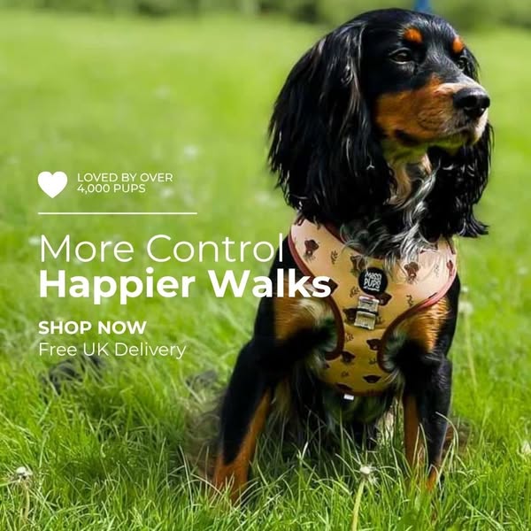 More control. Happier walks.