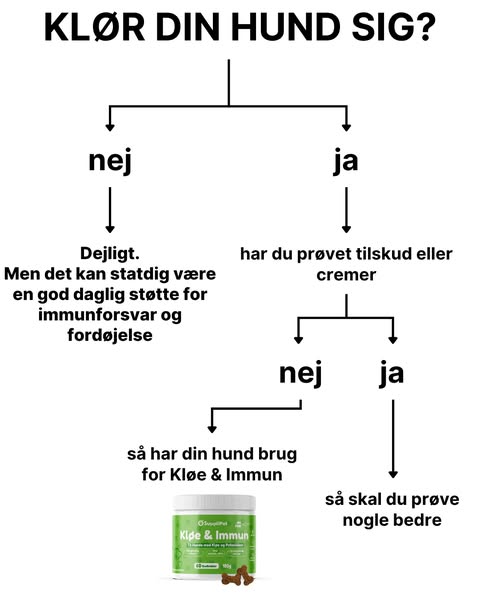 Hjælp Din Hund I Dag