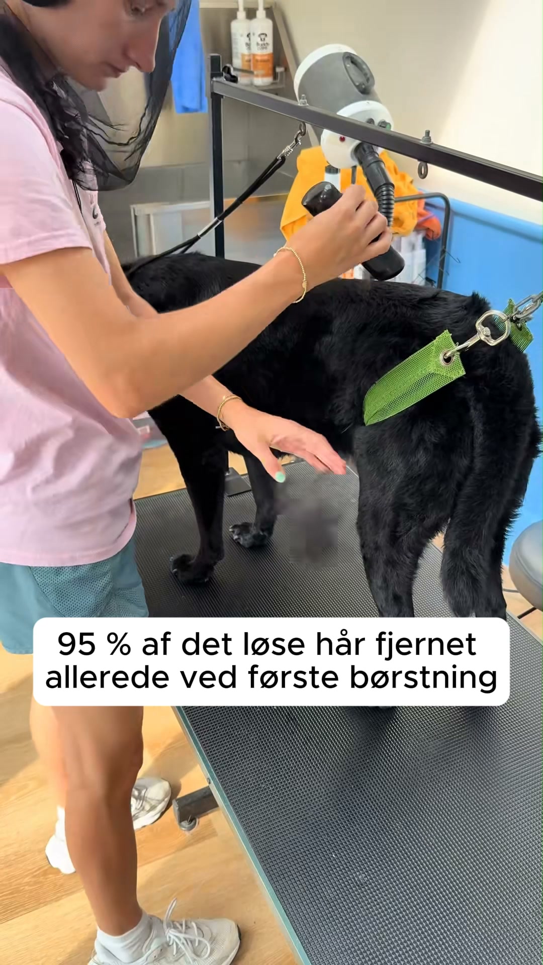50 % Rabat + gratis fragt