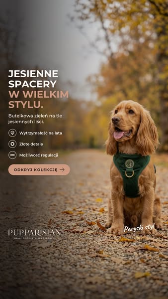 Butelkowa zieleń. Kolor jesieni