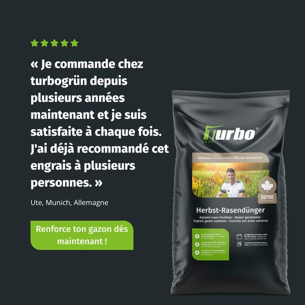 Sauver son gazon après l'été