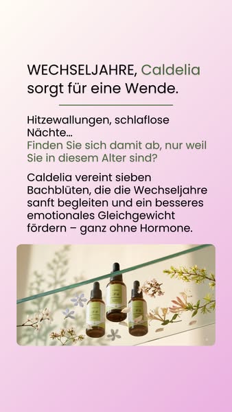Lindert die Wechseljahresbeschwerden