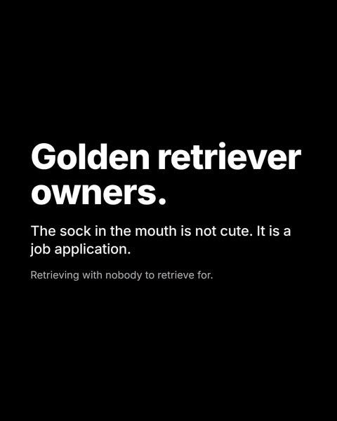 Discover your breed