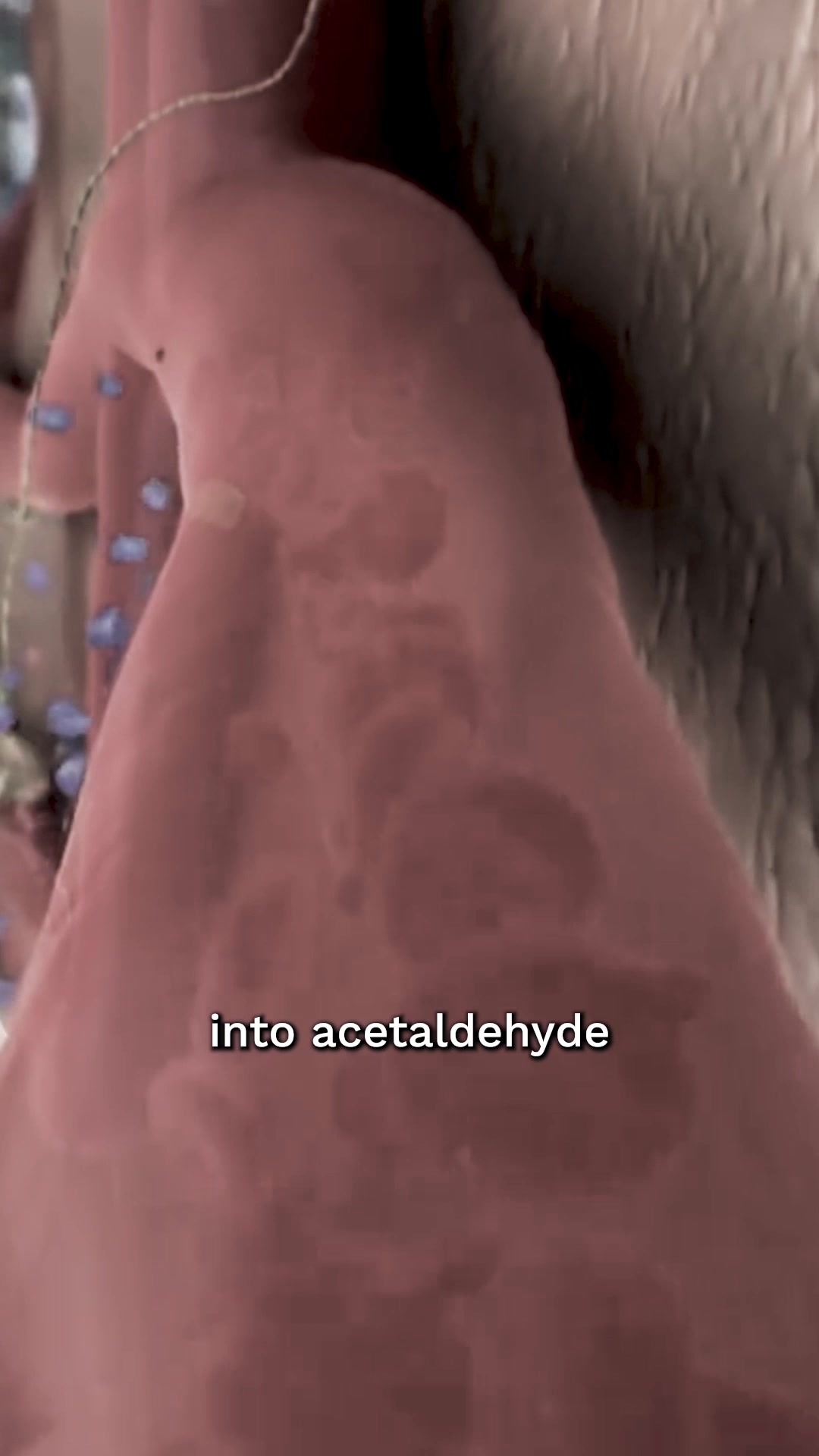 This is how to reduce liver damage while drinking.