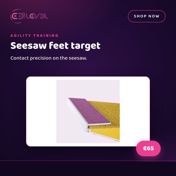 Seesaw Target