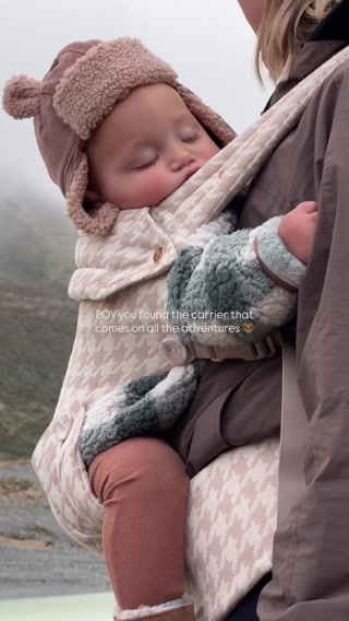 The Oatmeal Baby Carrier