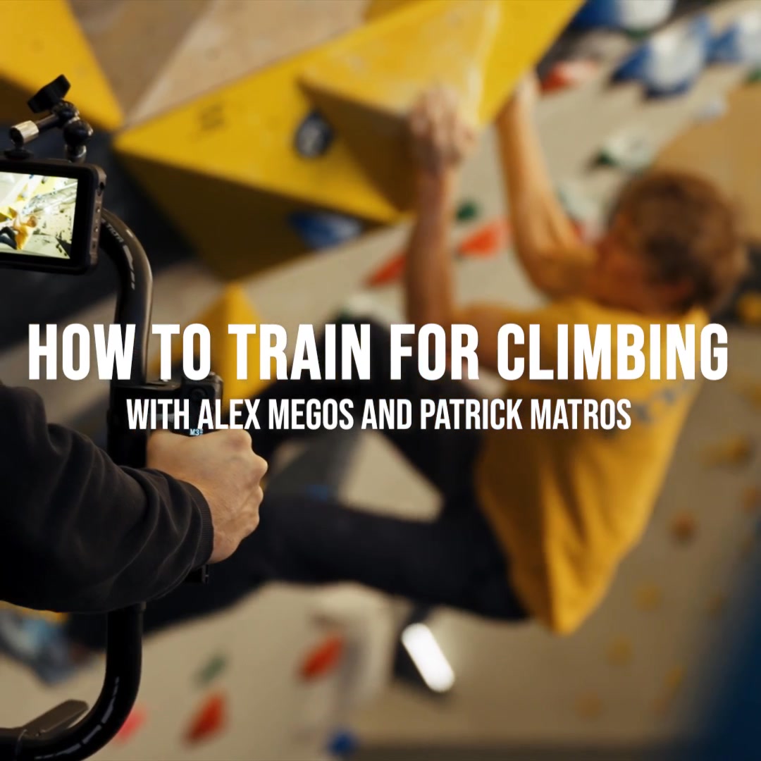 Discover the Training Secrets of the Pros