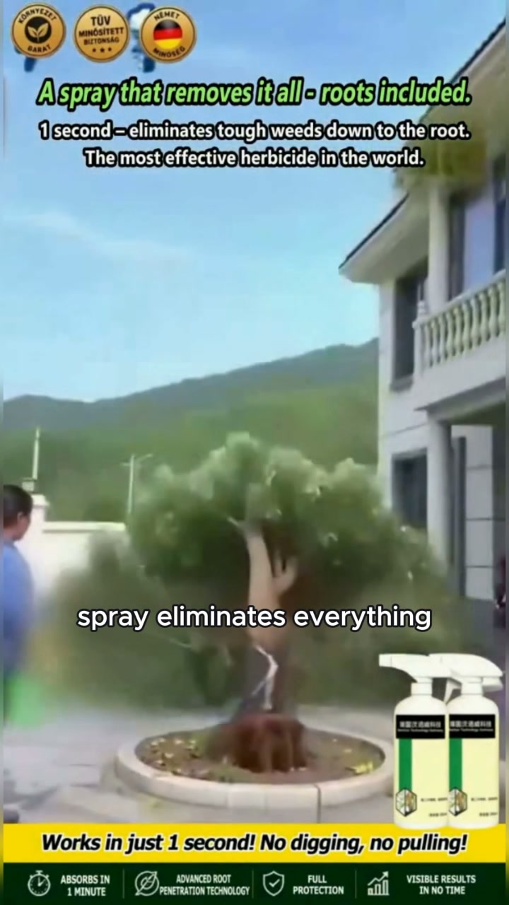 Weed & Bamboo Killer – The End of Invasive Roots