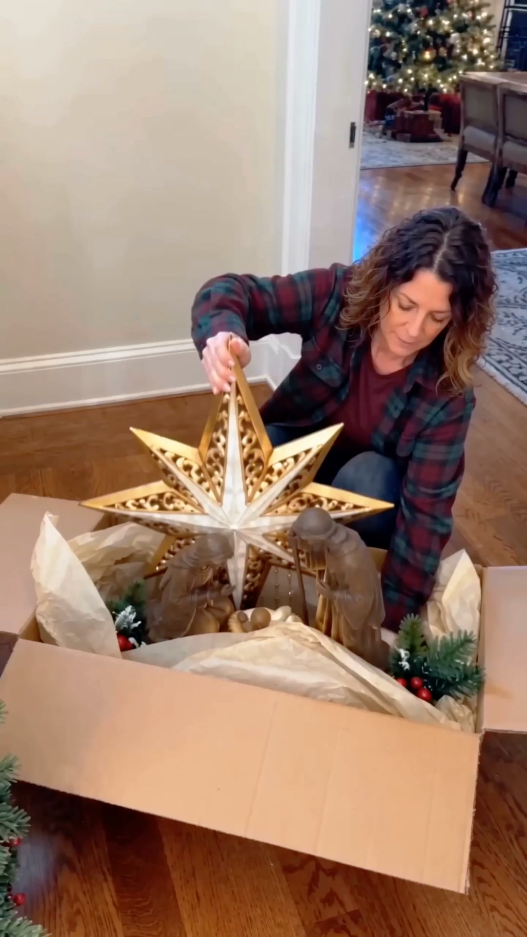 Stunning Bethlehem Star Decoration