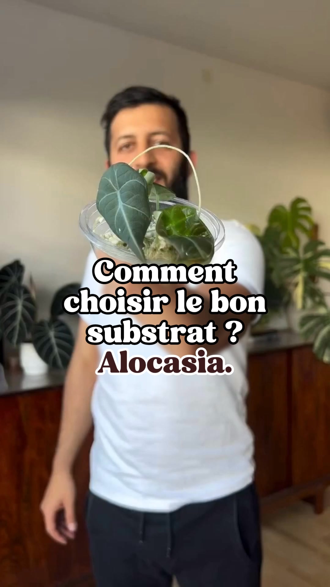 Plus de 75.000 amoureux des plantes sont passés avant toi