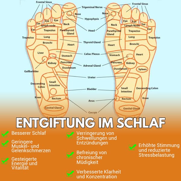 Verbessern Sie Ihre Gesundheit noch heute!