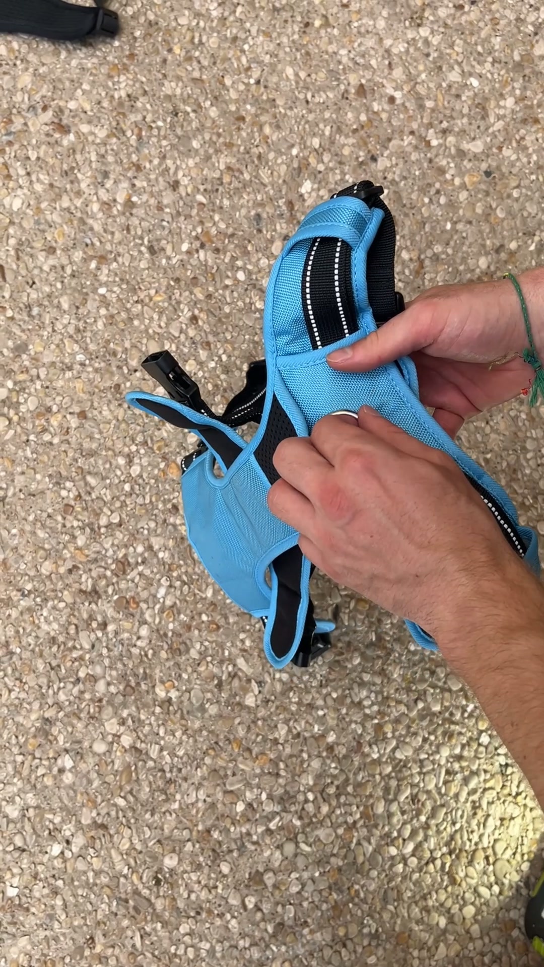 Comment empêcher son chien de tirer sur sa laisse sans dressage