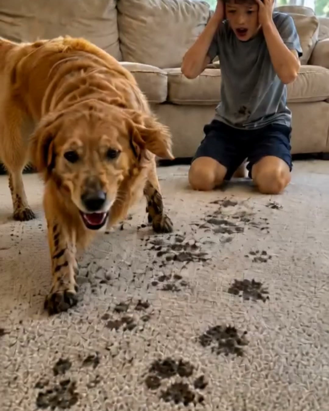 The 60-Second Carpet Rescue! (BOGO)