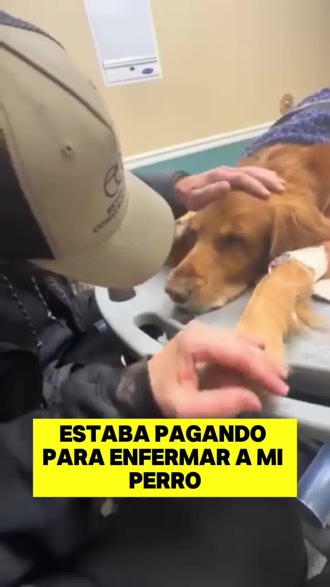 Adiós al picor de tu mascota.