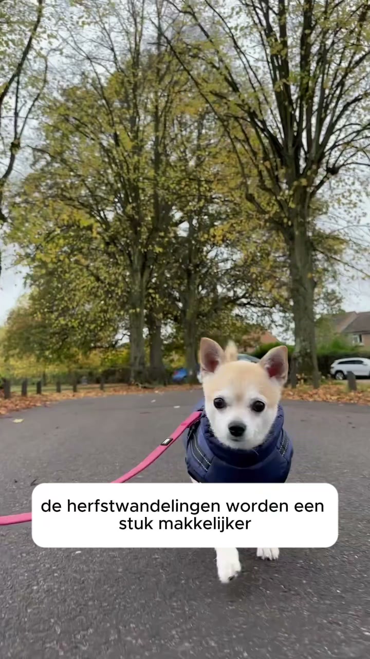 Jas en harnas in één