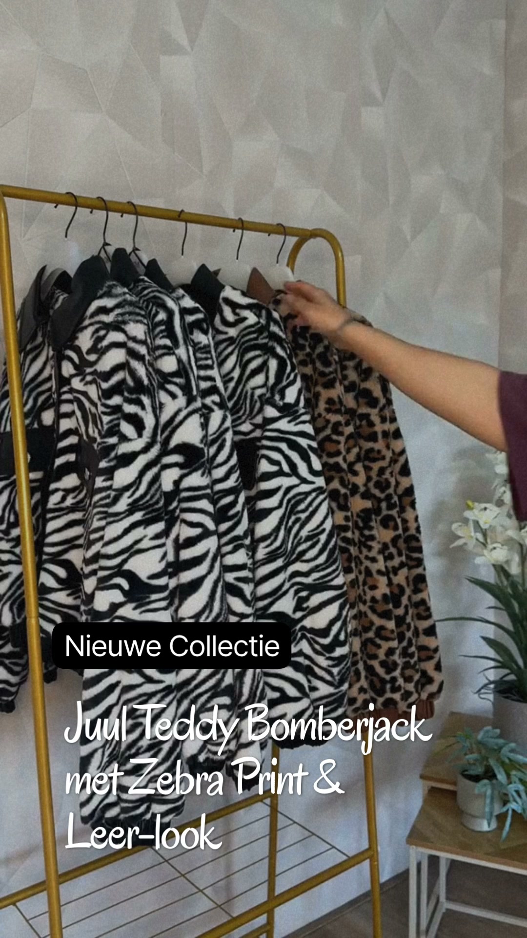 Luipaardprint Ontmoet Teddy