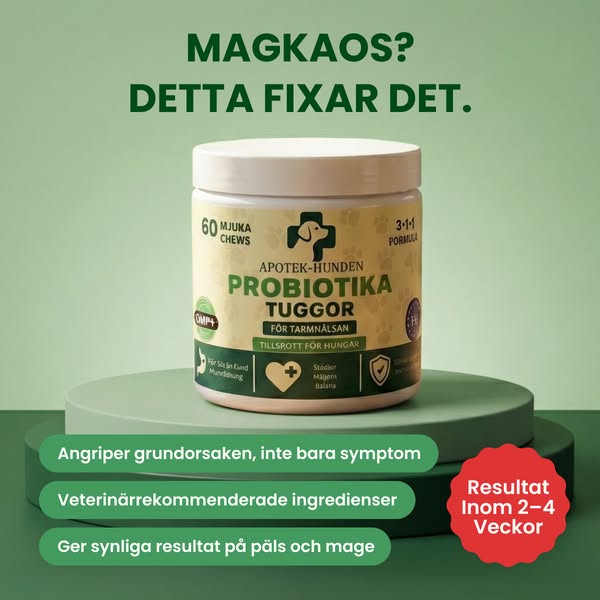 Probiotika Som Löser Din Hunds Mag-, Hud- & Energiproblem