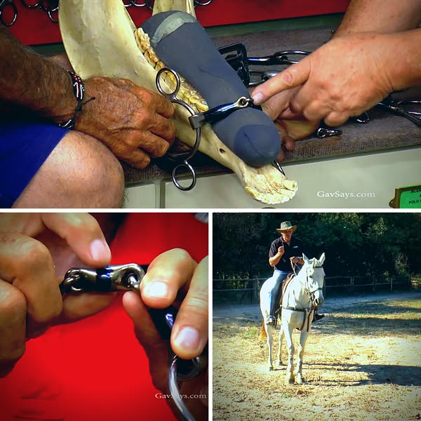 Stop Guessing With Your Horse’s Bit