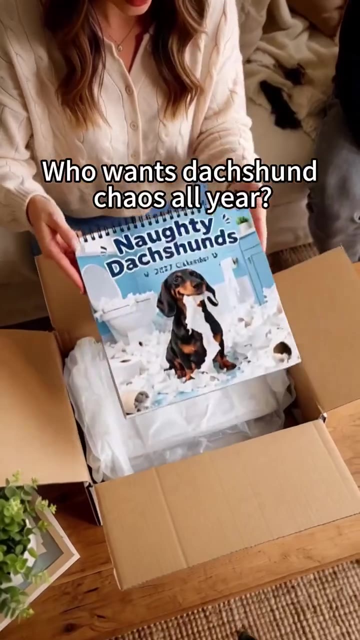 Naughty Dachshunds 2027 Wall Calendar