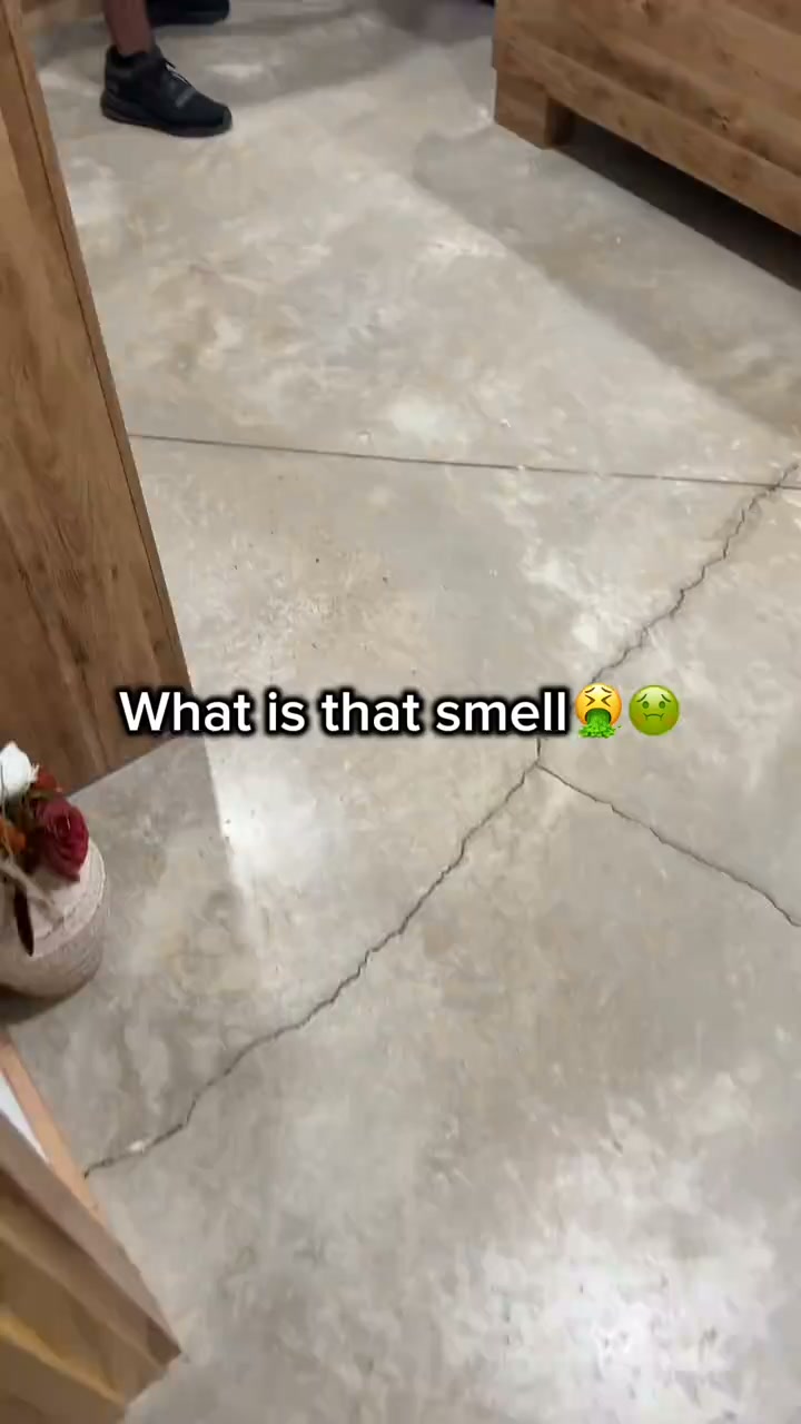 Still Smells Like Dog After Cleaning?