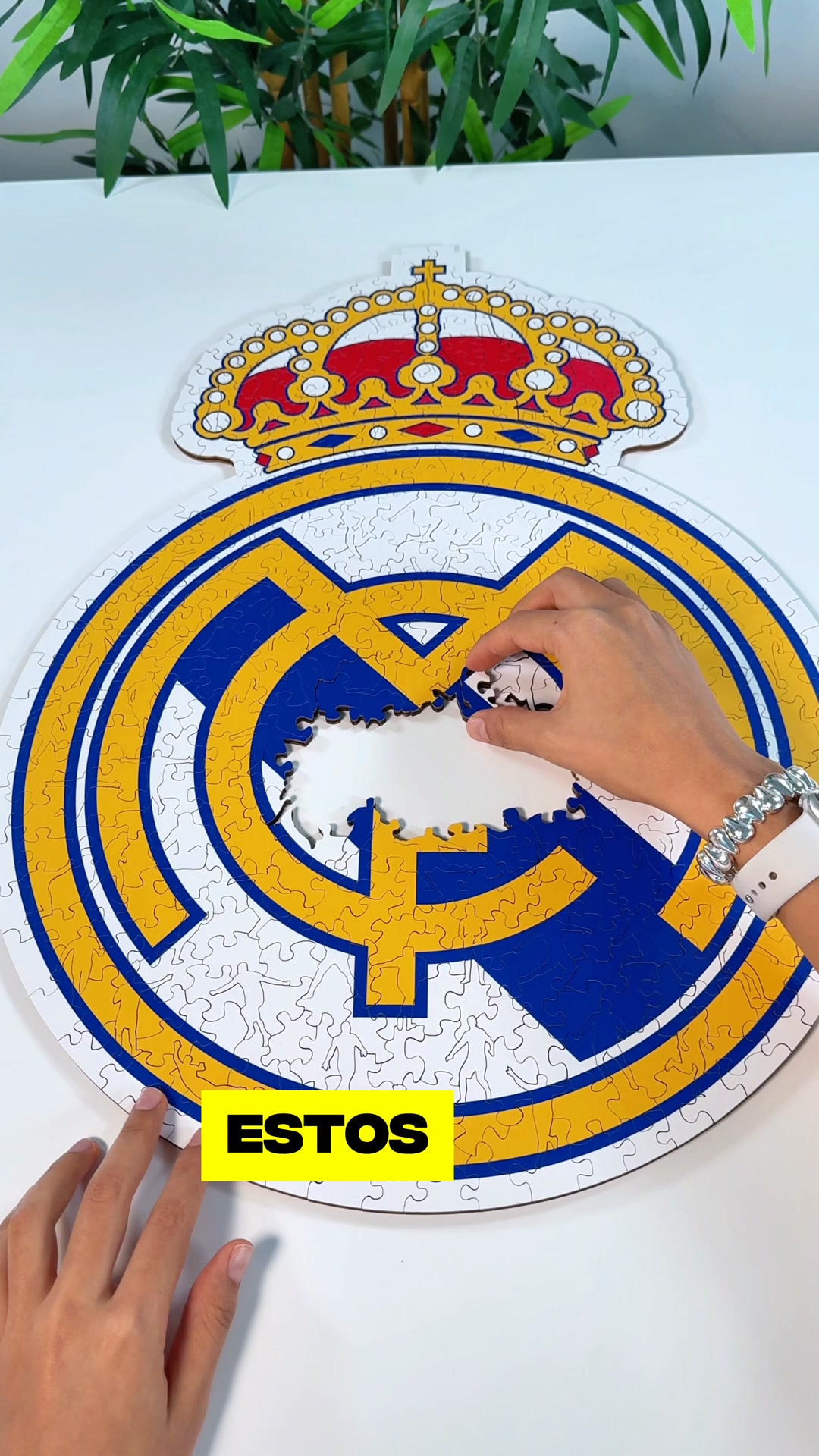 Sorprende con un regalo único
