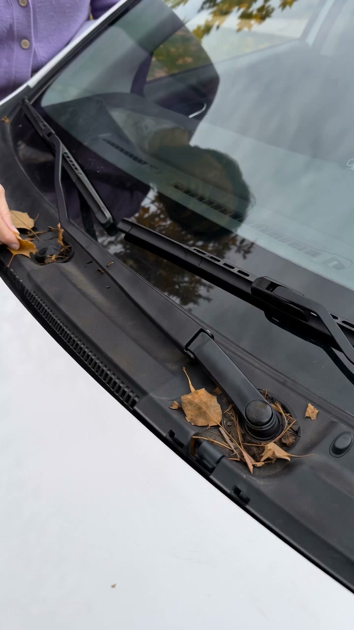 Seal The Wiper Gap — Set Of 2, Fits In Seconds